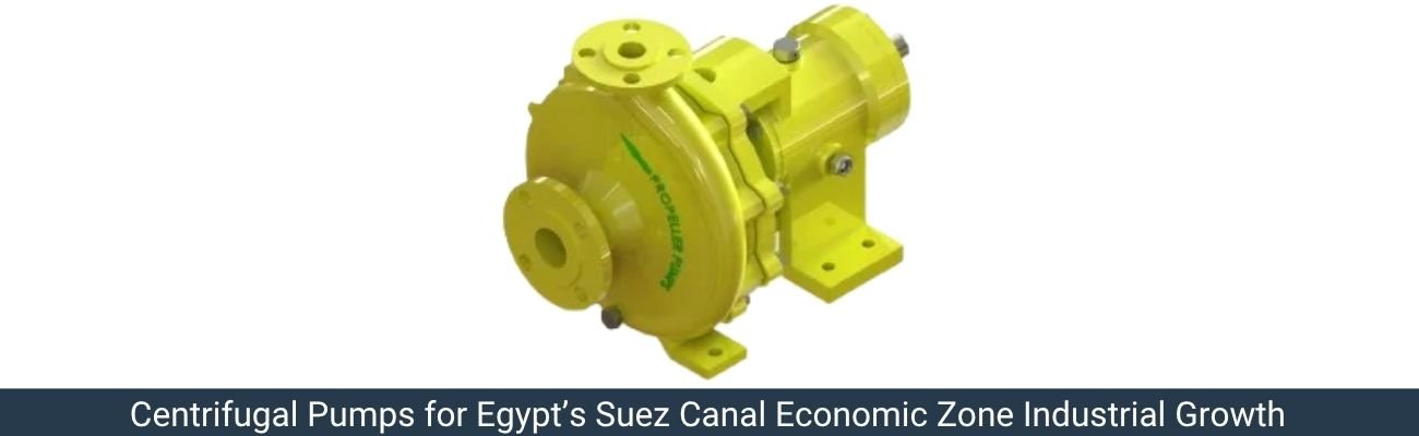 Centrifugal Pumps for Suez Canal Economic Zone in Egypt