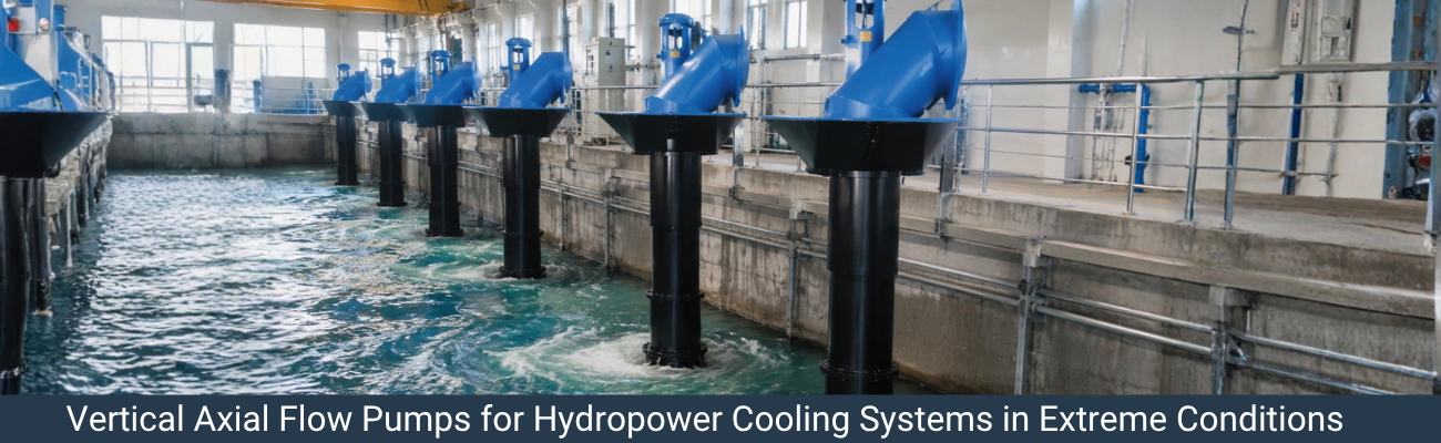 Vertical Axial Flow Pumps for Hydropower Station Cooling Systems in Russia
